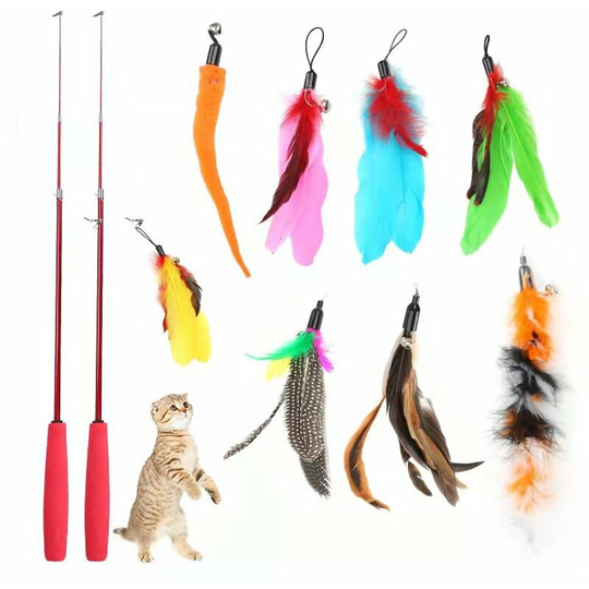 Rhafayre - Feather Toy for Cats, 10 Pieces Cat Toys, Feather Toys, Cat Toy, 2 Retractable Fishing Rod Toy with 8 Refills, Interacti for Indoor Cats