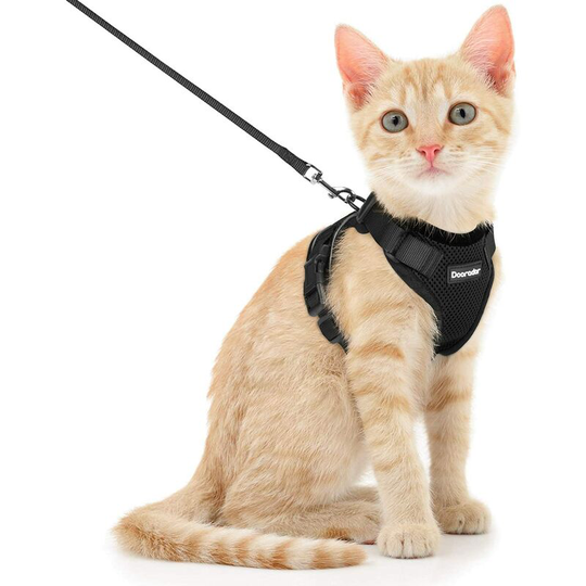 Modou - Cat Harness, Cat Harness with Leash xs Black, Adjustable Kitten Harness, Reflective and Breathable Cat Vest, Easy to Put on Anti-escape