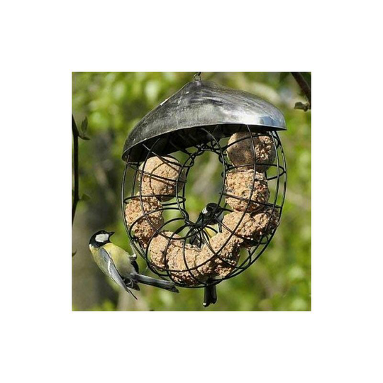 Hanging Donut Suet Fat Ball Bird Feeder. Garden Bird Feeders Easy Clean and Fill (Suet Fat Ball Donut Feeder)