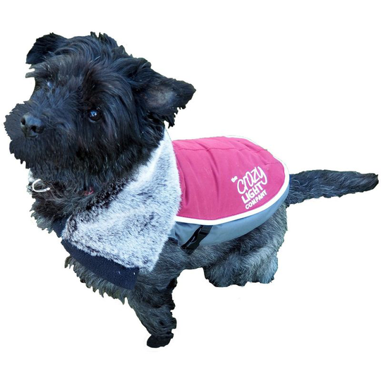 Luxury Night Bright led Dog Jacket (Assorted Colours) - asrtd (45.5cm) (Assorted) - Assorted - Rosewood