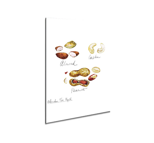 Nut Selection 3 - Unframed Graphic Art on Metal