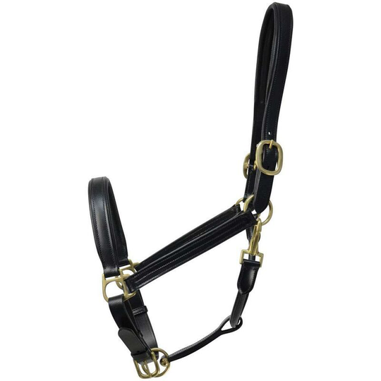 Leather Padded Head Collar (Full) (Black) - Black - Coldstream