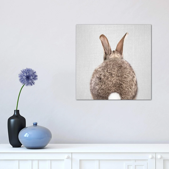 Rabbit Tail - Wrapped Canvas Graphic Art Print