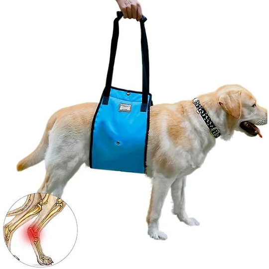 Dog Support Harness Dog Support Harness Pet Walking Aid Lifting Vest for Elderly and Injured Dogs (l)