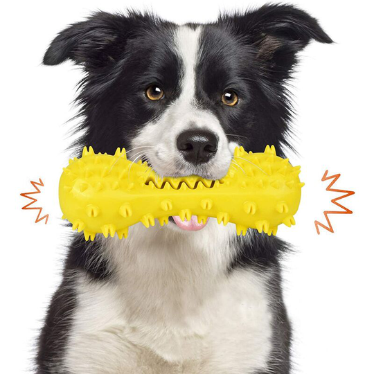Durable Non-Toxic Interactive Dog Chew Toothbrush for Pets