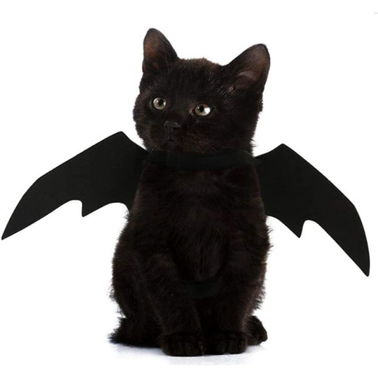 Pet Bat Wings New Halloween for Black Cat Bat Wings Cool Puppy Cat Costume for Black Bats.