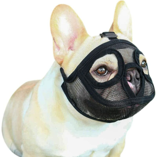 Gdrhvfd - Mesh Dog Muzzle Short Snout Dog Muzzle Dog Trainer Adjustable French Bulldog Muzzle Anti Biting/Chewing/Barking Mouth Cover For English