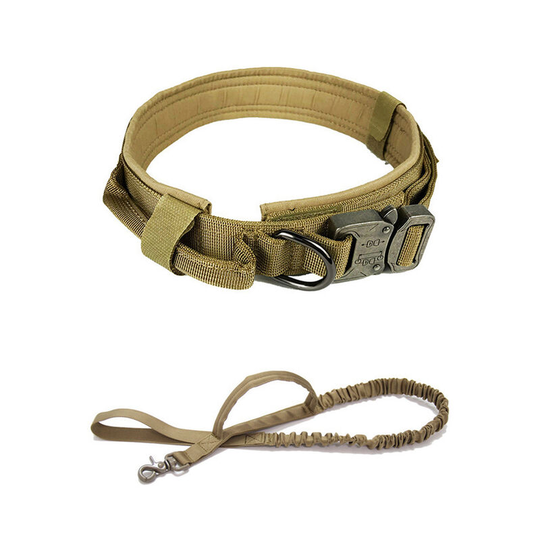 Nylon Dog Collar Pet Collar Leash Set-Earth Color