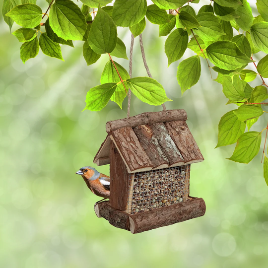 Mitzel Hopper Bird Feeder