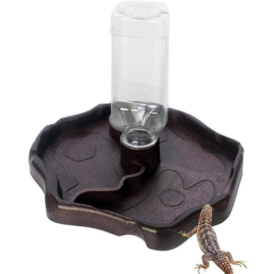Echoo - Water Drinker, Automatic Basin with Water Bottle for Pet Reptile Tortoise Lizard, Drinker Waterer