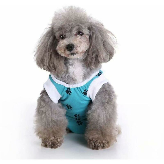 Thsinde Pet Dog Sterilization Surgery Rehabilitation Nursing Clothes (blue S)