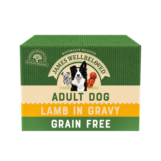 James Wellbeloved Adult Grain Free Pouches - Lamb with Vegetables - 12 x 100g
