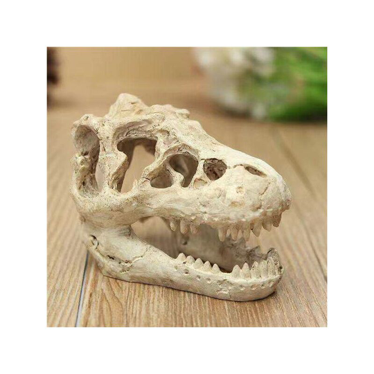 Decoration for Aquarium Crocodile Crane 85 x 55 x 45 mm