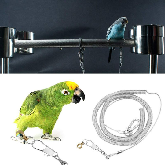 Perle Rare - Training Rope Leash Kits Made of 6M Anti Bird Bite High Quality Plastic for Agapornis Fischeri Cockatiels Starling Birds(#1)