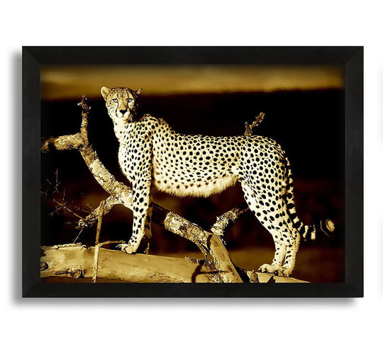 Leopard Perch Sepia - Picture Frame Photograph on Canvas