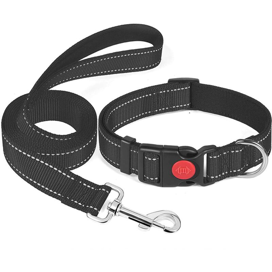Reflective Nylon Dog Collar - Soft, Reflective, Adjustable Neoprene Lining