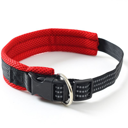 Applicable To Wide Varieties Of Hybrid Dog Collar Bands | High Resolution Pictures