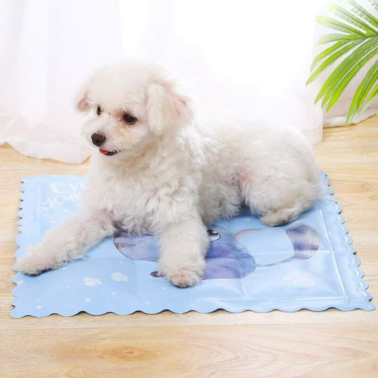 Non Toxic Dog Cooling Mat Dog Cooling Mat, Large Self-Cooling Blanket Cushion Gel Cold Ice Cushion for Pets (36 * 36cm)