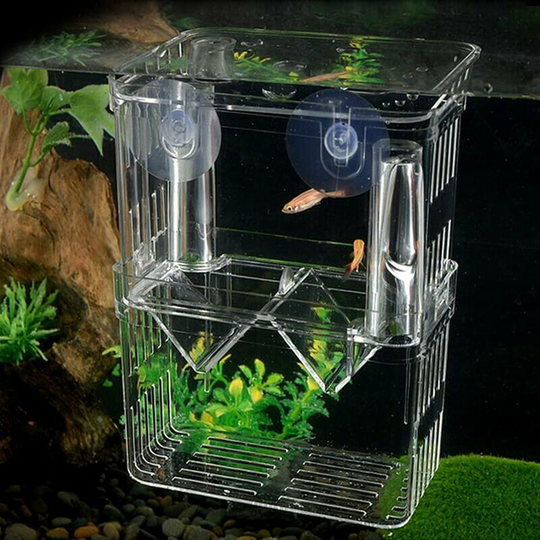Monly - Aquarium Incubator, Fish Breeding Box, Aquarium Guppy Brooder, Aquarium Fish Tank, Isolated Seedlings, Hatching and Breeding Support, Medium