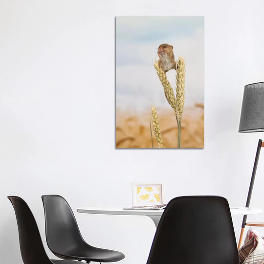 High Rise Lunch Harvest Mouse by Dean Mason - Photograph Print on Canvas