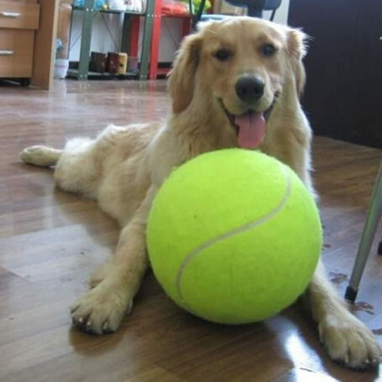 Pet Basketball Toy - Soccer Ball Toy - Solid Toy, Tennis, as Tennis - Tennis