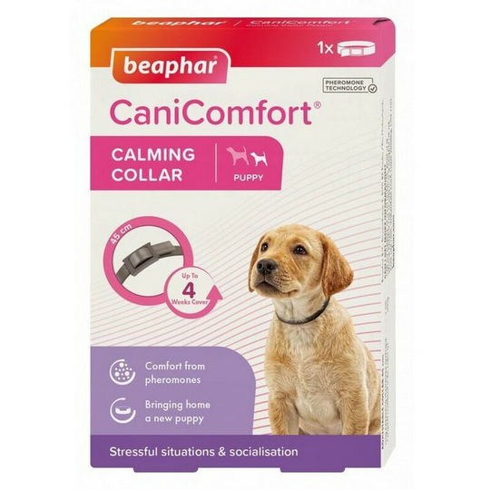 Beaphar CaniComfort Dog Collar (45cm) (Charcoal Grey) - Charcoal Grey