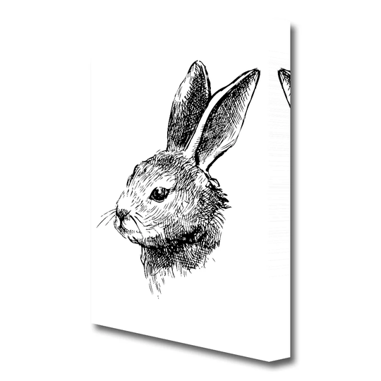 Bunny Portrait Wild Life - Wrapped Canvas Drawing Print