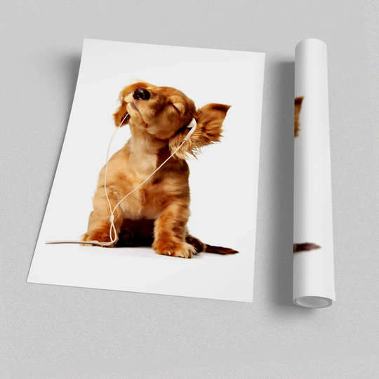 Puppy Love - Photograph Print on Paper