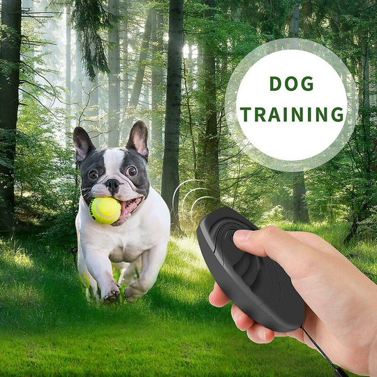 Thsidne New ultrasonic dog repeller dog trainer Grey