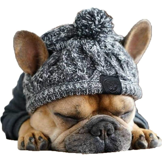 Osqi - Warm Knitted Dog Hat Cute Pet Snood Beanie Fancy Dress Accessory Costume Hat for Autumn and Winter Party Photography(Grey,M: 16.14-20.08 inch)