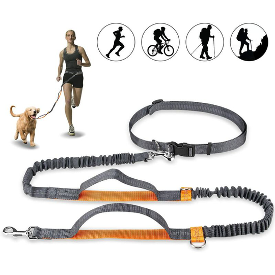 Hands Free Dog Leash, Adjustable Elastic Jogging Leash with Reflective Stitching for Dogs up to 110 kg