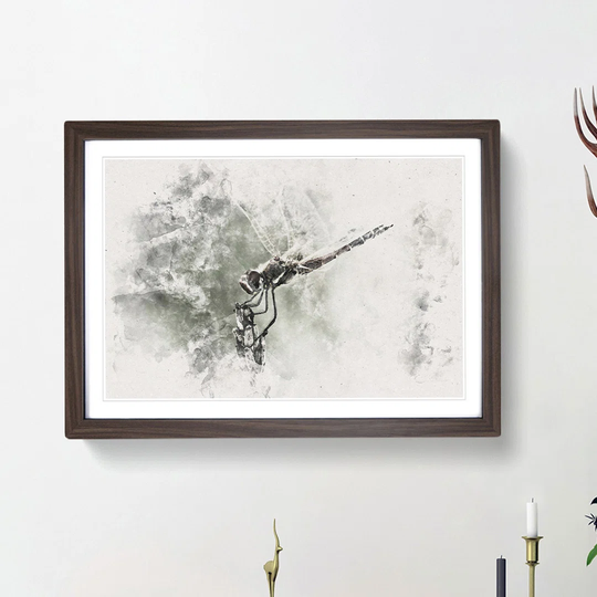 Perched Dragonfly - Picture Frame Painting Print