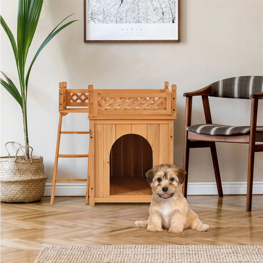 Kelloch Wooden Waterproof Shelter with Terrace And Stairs Cat House
