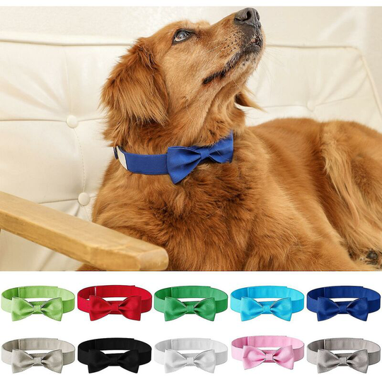 Thsidne Dog Neck Tie Solid Color Adjustable Head Wear Pet Bow Collar Dog Accessories For Wedding Party Red m