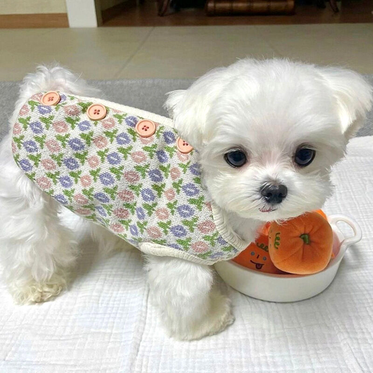 Autumn and Winter Small Dog Knitted Floral Vest Small Dog Warm Sweater Maltese Bears Pet Clothes 25 * 34cm
