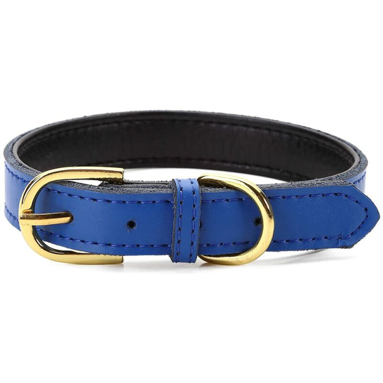 Classic and Basic Padded Leather Basic Collars for Cats, Puppies, Small and Medium Sized Dogs