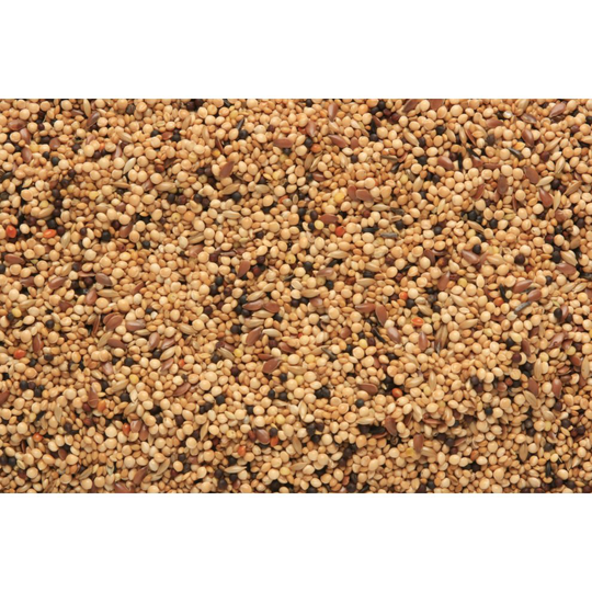 SkyGold Gourmet Foreign Finch Cage & Aviary Seed Mix 20Kg
