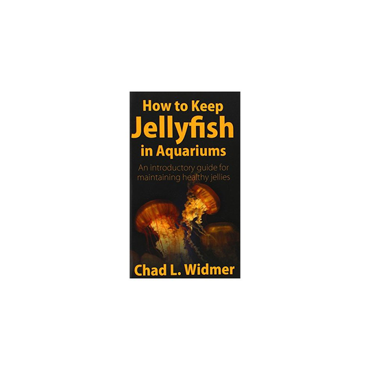 How to Keep Jellyfish in Aquariums: An Introductory Guide for Maintaining Healthy Jellies
