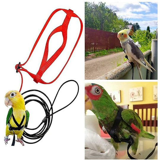 Sun Flowergb - Pet Parrot Bird Harness Leash Adjustable Flying Bird Harness Traction Rope with Cute Wing for Parrots Outdoor Training Toy m Red