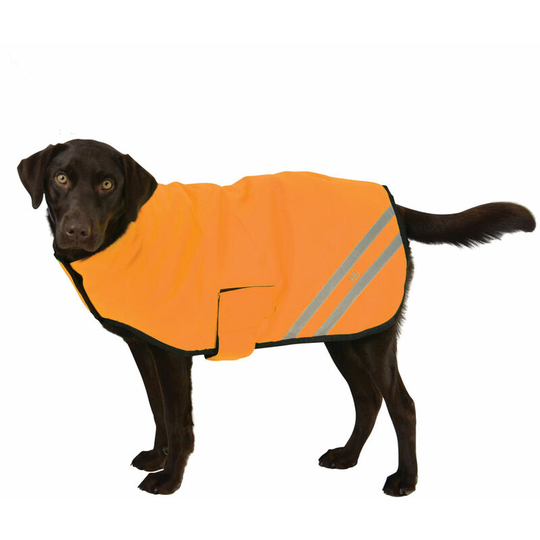 Reflector Waterproof Dog Coat (xl) (Orange) - Orange - Hyviz
