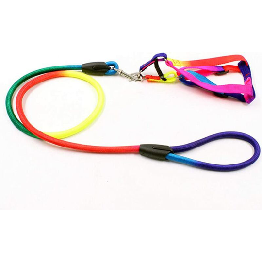 Modou - Small Animal Leashes 1 Pcs Pet Dogs Collar Reinforce Rainbow Colors Round Rope Pet Puppy Cats Leash Lead Harness Traction Rope Nylon