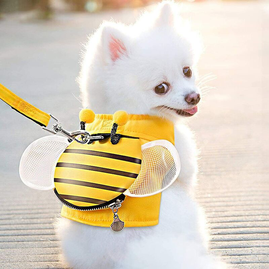 Dog Harness and Leash Set, ptn New Soft Mesh Nylon Vest, Little Honey Shape, Small Backpack with Zipper for Small Medium Dog m (6kg-9kg)