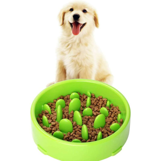 Slow Feeding Dog Bowl Slow Feeding Dog Bowl Dog Feeders And Drinkers Promotes Healthy Feeder
