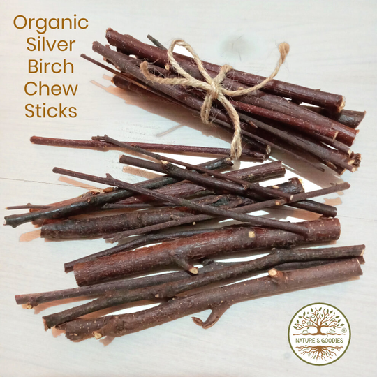 Nature's Goodies Organic Silver Birch Sticks Wood Pet Chew Toy Treat for Rabbits Guinea Pigs