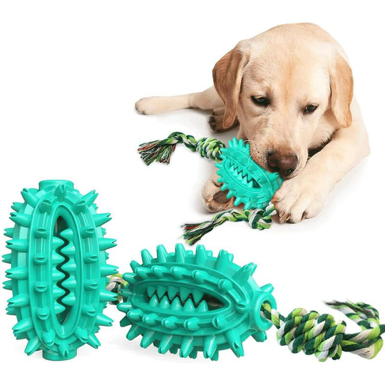 Modou - Dog Toothbrush, Interactive Chew Toy, Dog Oral Massager, Non-Toxic Durable Rubber Toy for Cleaning Puppy Teeth, Indestructible Rubber Chew