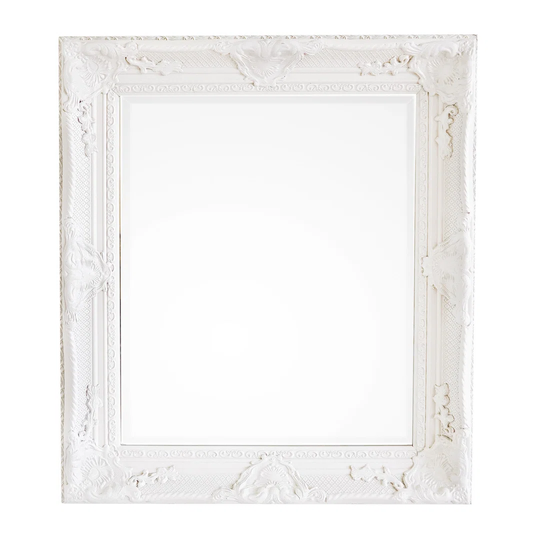 Bohon Framed Wall Mounted Accent Mirror