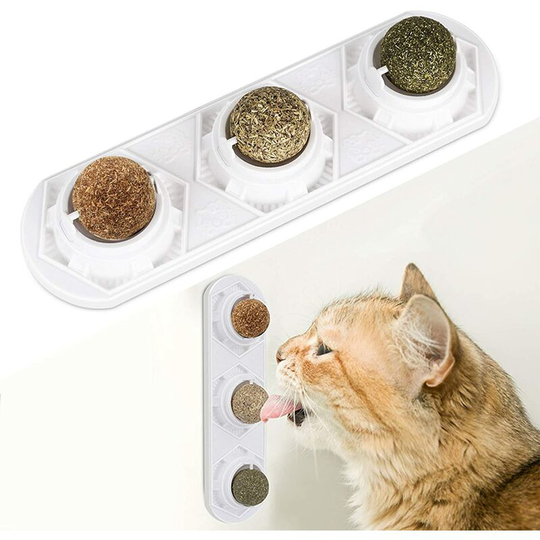 Catnip toys, edible catnip balls, safe and healthy catnip, cat family chasing toys, cleaning teeth, protecting stomach - Litzee