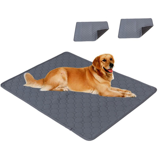 Gdrhvfd - 2 Pack Small Puppy Sanitary Pads - 60 x 45cm - Super Absorbent, Washable and Reusable - Use for Puppy, Playpen or Puppy Training