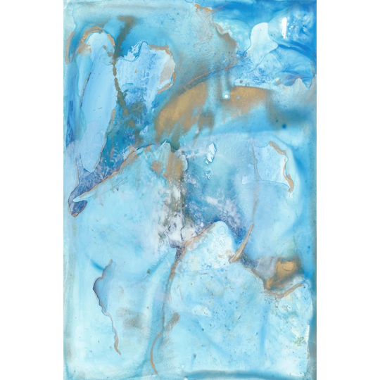 Aquarium II by Joyce Combs - Wrapped Canvas Painting