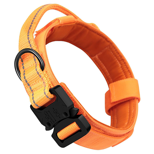 Tactical Dog Collar Military Dog Collar Adjustable Nylon Dog Collar Webbing Heavy Handle K9